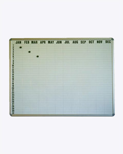 Yearly Planner Whiteboard 3D NZ