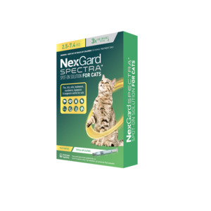 Nexgard Spectra Flea & Worm Spot On for Cats 2.5-7.4kg (3 PACK)