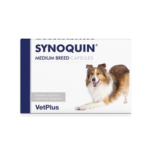 Dogs: Synoquin EFA Dog Capsules