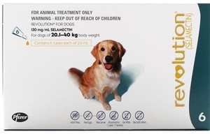 Products: Revolution Large Dog (6 Pack) 20-40kg