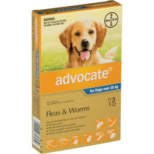 Products: Advocate Dog over 25kg (3 pack)