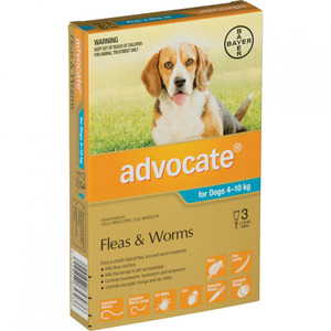 Products: Advocate Dog 4-10kg (3 pack)
