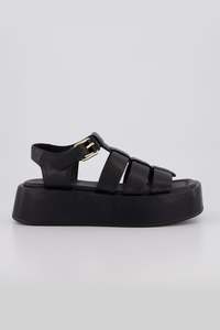 Bronwyn: Bronwyn - Bailey Black