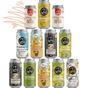 Hospo2020 Discount Collection: 8 WIRED SEASONAL CHEER BOX '24