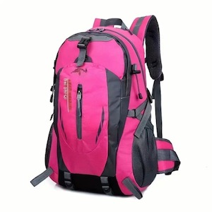 Backpack (Pink)