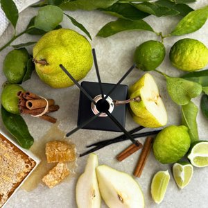 Agave Lime & Anjou Pear Diffuser