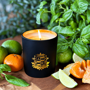 Zesty Scented Candles: Lime Basil & Mandarin Soy Candle