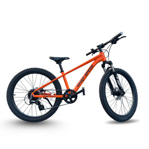 24'' WARP MTB