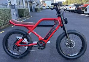 E-Mountain Bike Rental