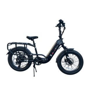 E Bikes: NIU BQi Utility 100 E-Bike
