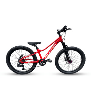 Mountain Bikes: Pallada 24" MTB