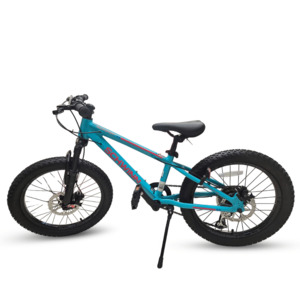 20" Schwinn Axum Sport Teal MTB