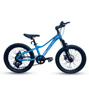 Mountain Bikes: Pallada 20" MTB-pickup only