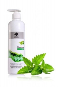 Products: Fresh Mint Shampoo – Able Beauty