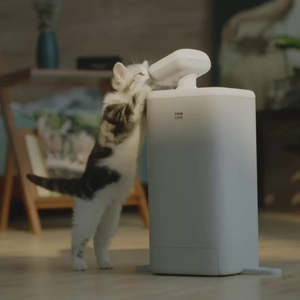 Frontpage: Cat Feeder & Sitter