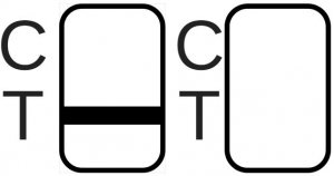 Initial Screening Instructions
