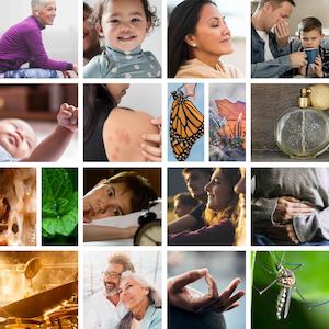 Webinar: Webinar Bundle x18