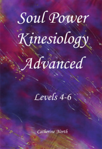 Products: MANUAL – Soul Power Advanced 4-6