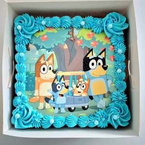 Cakes 1: Edible Image Box of Cake