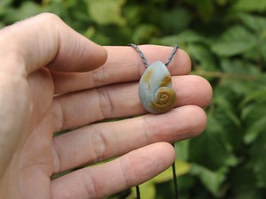 Products: Small Jadeite Kauri Snail Shell — A Carved Piece