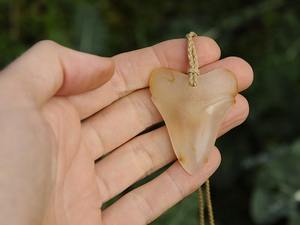 Carnelian Megalodon Tooth — A Carved Piece