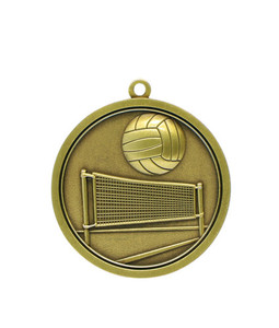 Products: Volleyball - Gold Medal 4.5cm Dia Ace Engravers
