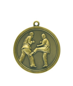 Products: Karate/Martial Art - Gold Medal 4.5cm Dia Ace Engravers