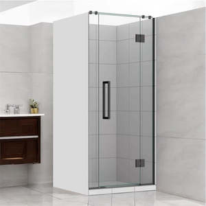 Shower Glass - Stream Series Swing Door 10mm Glass Gun Metal Frame