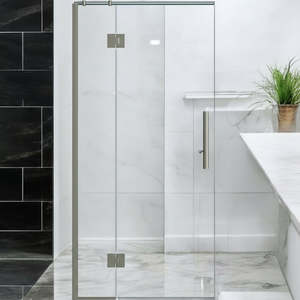 Shower Glass - Stream Series Swing Door 10mm Glass Brushed Nickel Frame