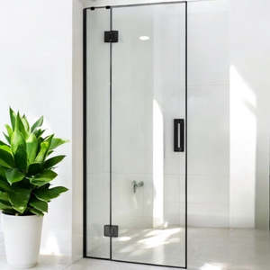 Shower Glass - Stream Series Swing Door 10mm Glass Black Frame