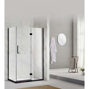 Shower Glass - Stream Series 2 Sides Swing Door - Black