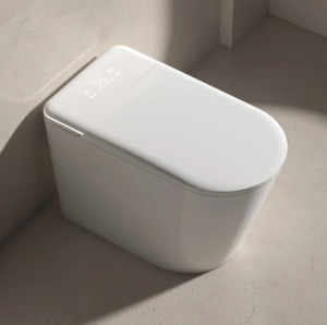 Smart Modern Bidet Toilet, with Heated Seat, Dual Auto Flush