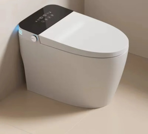 Smart Modern Bidet Toilet, with Heated Seat, Dual Auto Flush #704C