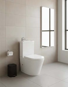 2 in 1 Toilet Basin Combo Combined Toilet and Sink