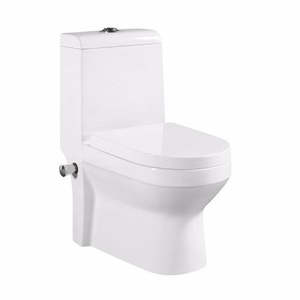 Toilet Suite: Ceramic One Piece Toilet Bidet, Toilets with Built-in Bidet