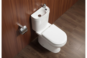 2 in 1 Toilet Basin Combo Combined Toilet and Sink 3806