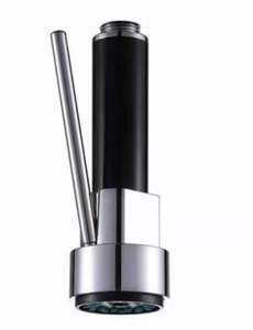 2-Function Pull Out Spray Head - Brass