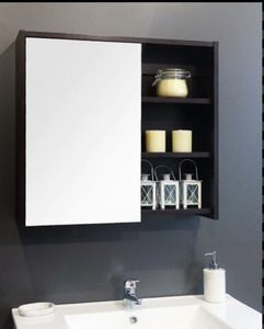 The European Bathroom Mirror Cabinet 100% WaterProof - Black