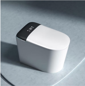 Smart Toilet  with Heated Seat, Auto Flush, Dryer, Self-Cleaning Nozzle, Night Light
