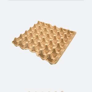 Eggs: Egg Tray 30cell (80)