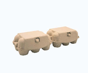 Eggs: Egg Carton 6 cell (pk170)