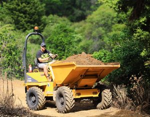 Products: 3T Dump Truck – Ace Rental