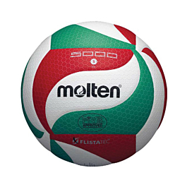 Products: Molten V5M5000 Volleyball