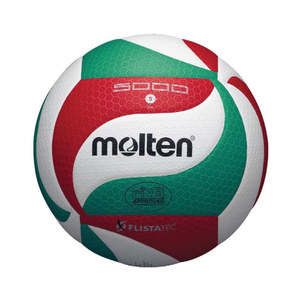 Products: Molten V5M5000 Volleyball - Achieve