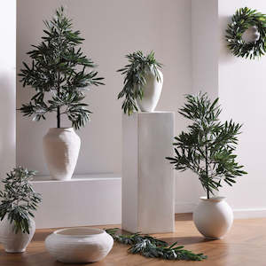 Papaya Christmas: Olive Tree - Small