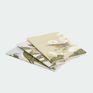 Books Stationery: Notebooks 'Birds & Botanical' - 3pk