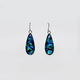 Paua Earrings - 'Tear'