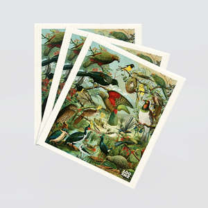 Napkins: Native Birds Dish Cloths Set