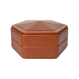 Audio Cases: FiiO HB7 Earphone Carry Case