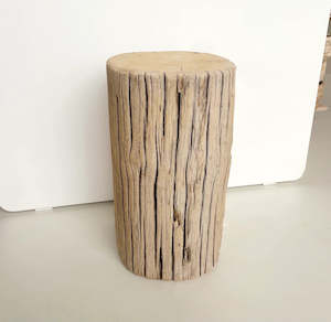 Elm Stump